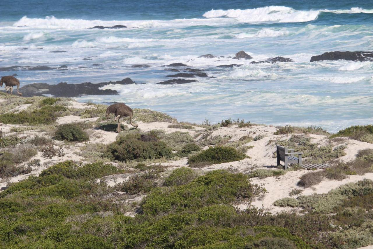 Orca House Apartment Yzerfontein Exterior photo